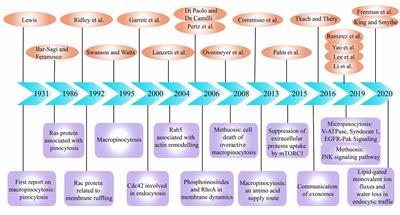 Frontiers The Dual Role Of Macropinocytosis In Cancers Promoting